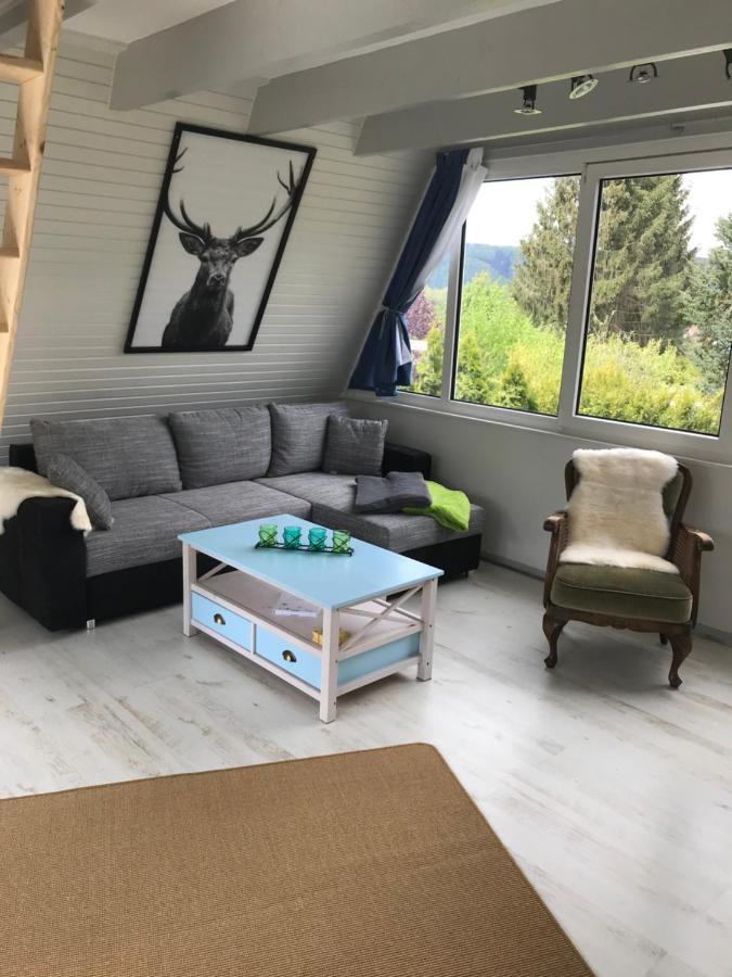 Vila Ferienhaus Schadertalblick Wolfshagen  Exteriér fotografie