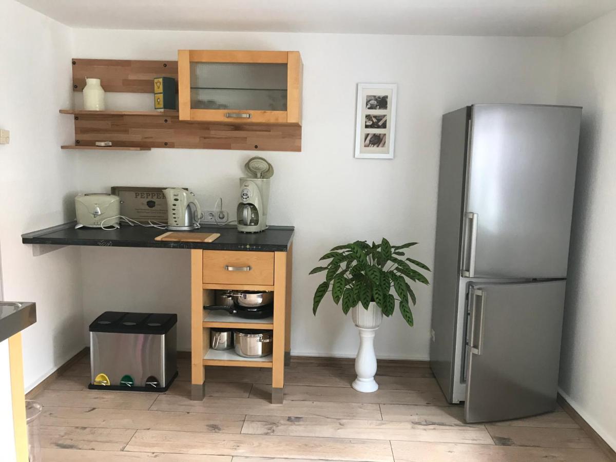 Vila Ferienhaus Schadertalblick Wolfshagen  Exteriér fotografie